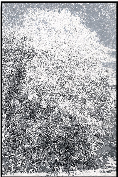 White Painting 90cm x 120cm (H)