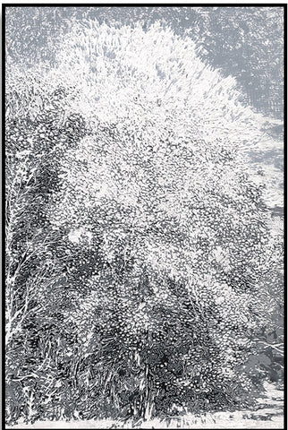 White Painting 90cm x 120cm (H)