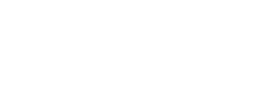 The Bear Knows Singapore
