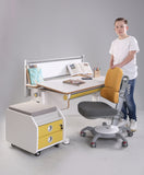 602 Formica® Antimicrobial Laminates - Ergonomic Adjustable Desk